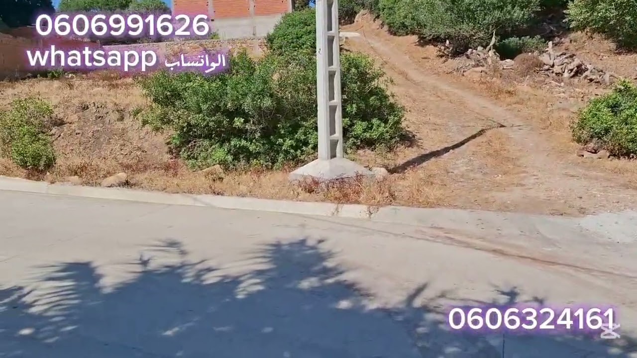 قطعة ارضيه ملكية 1200متر واصلا الماء والضوء والطريق في ملوسة نواحي طنجة