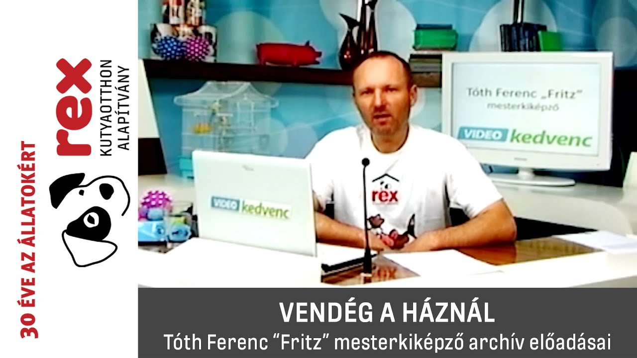 Vendég a háznál