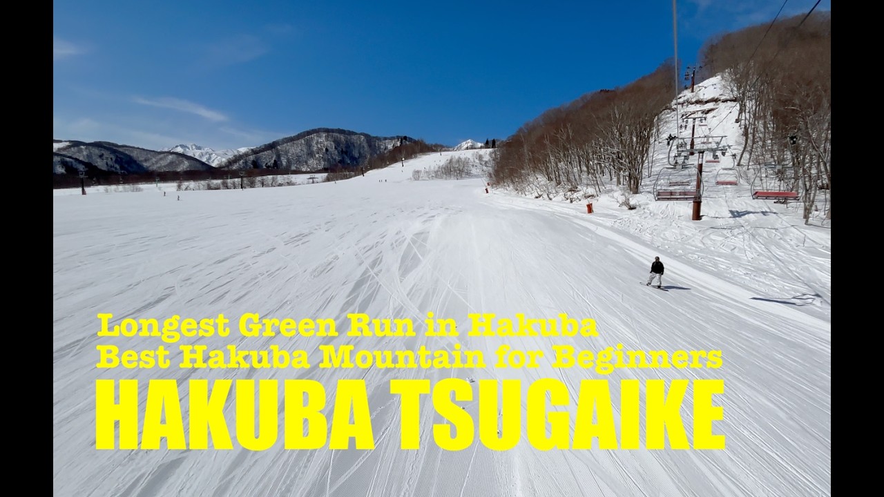 Hakuba, Nagano | TSUGAIKE ★★★ Ultimate Ski Trip at the Queen of Green ★★★ 長野県白馬栂池スキー場