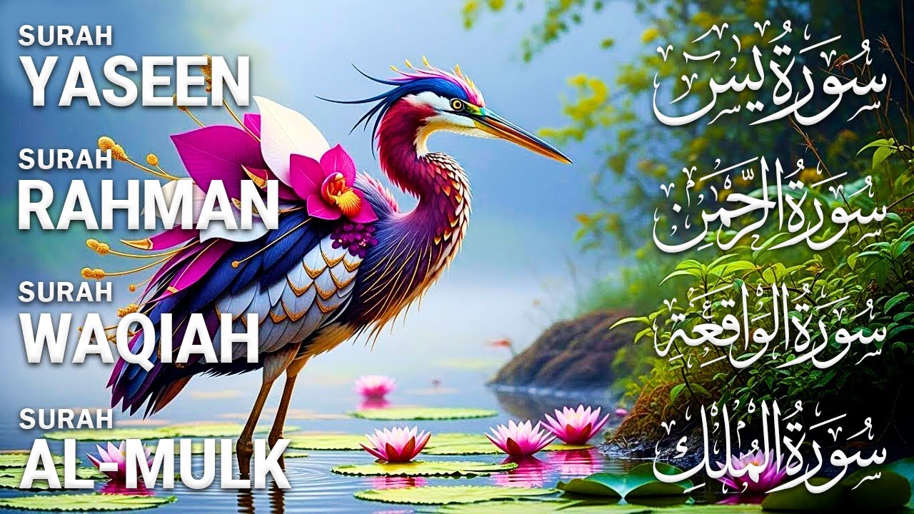 Relax Mind Through Quran Tilawat That Soothes Hearts | Surah Yasin Ar-Rahman Al-Waqiah Al-Mulk - 21