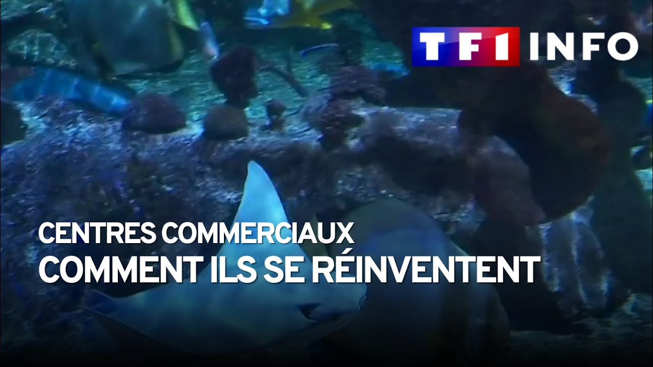 Comment les centres commerciaux se r&eacute;inventent et font tout pour vous attirer !