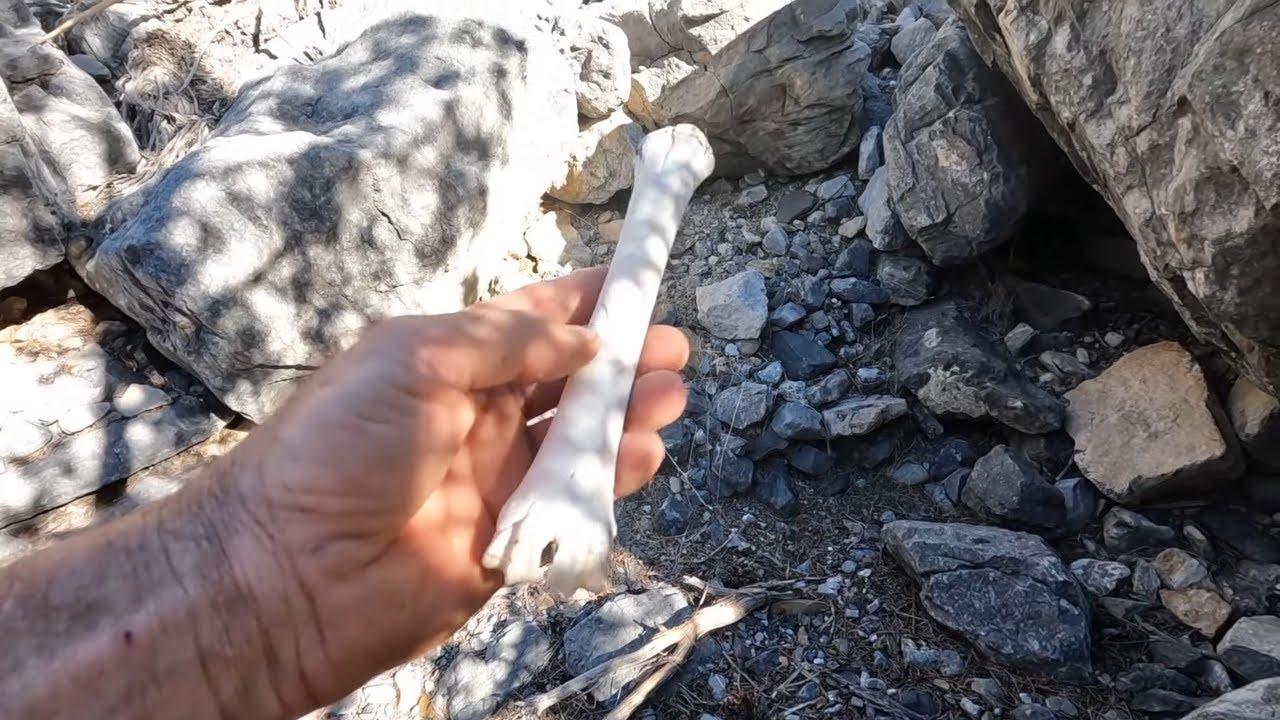 Searching For Kenny Veach : Exploring New Canyons : Bones Discovered