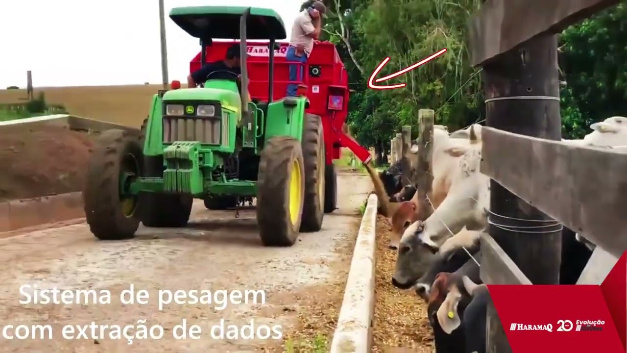 Linha TIPPER 👏👏👏