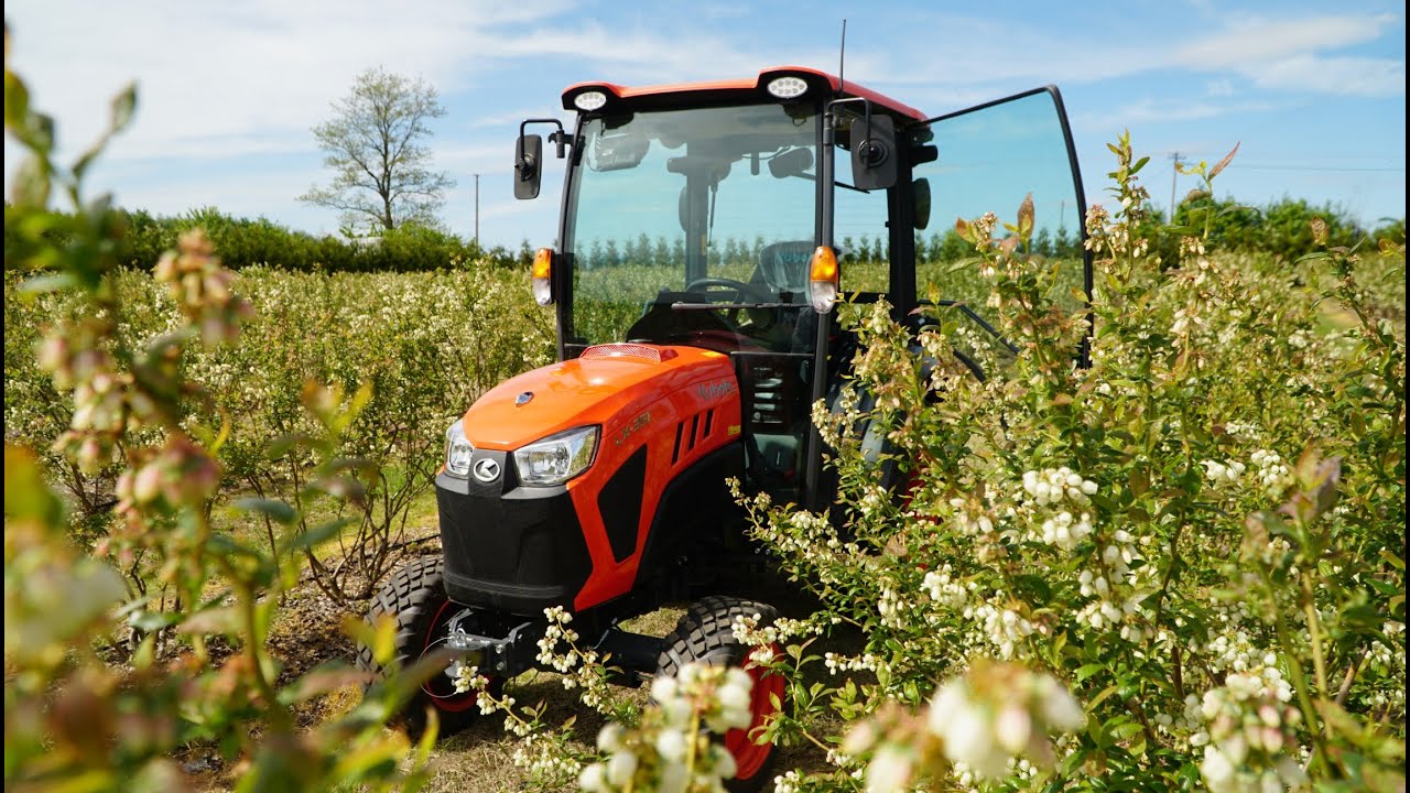 KUBOTA LX - Michał szczerze o zaletach i wadach ciągnika w uprawie bor&oacute;wki