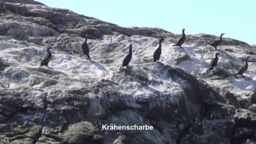 33 Häfen in 7 Tagen - mit 