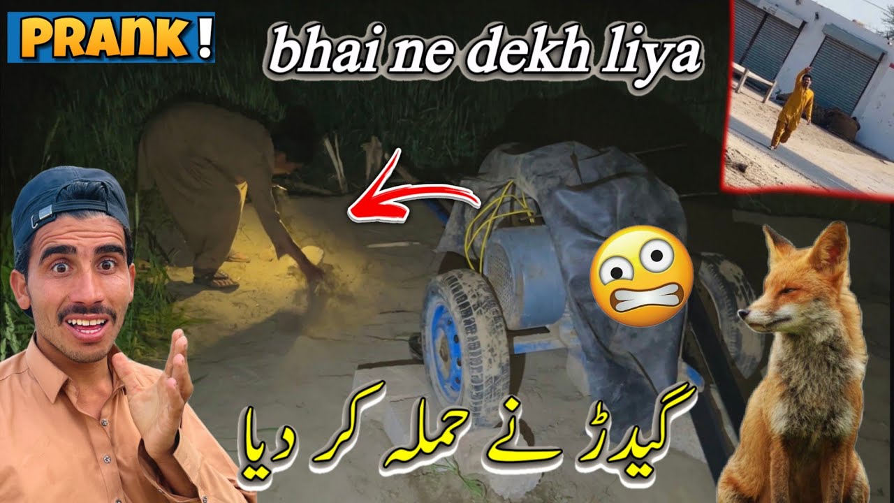 🐩Fox ne hamlah kar diya 🤭.بھائی نے دیکھ لیا 🧑‍🦱