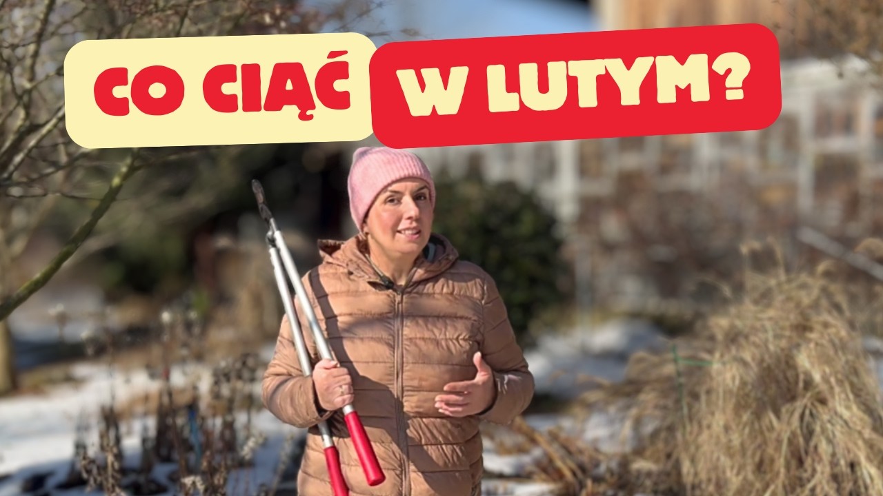 Lutowe cięcie - Co tniemy w lutym i dlaczego. Jakie gatunki tniemy i jakich narzędzi potrzebujemy