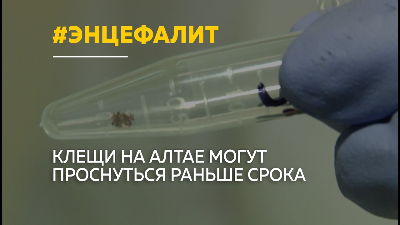 В этом году клещи в Алтайском крае проснутся раньше