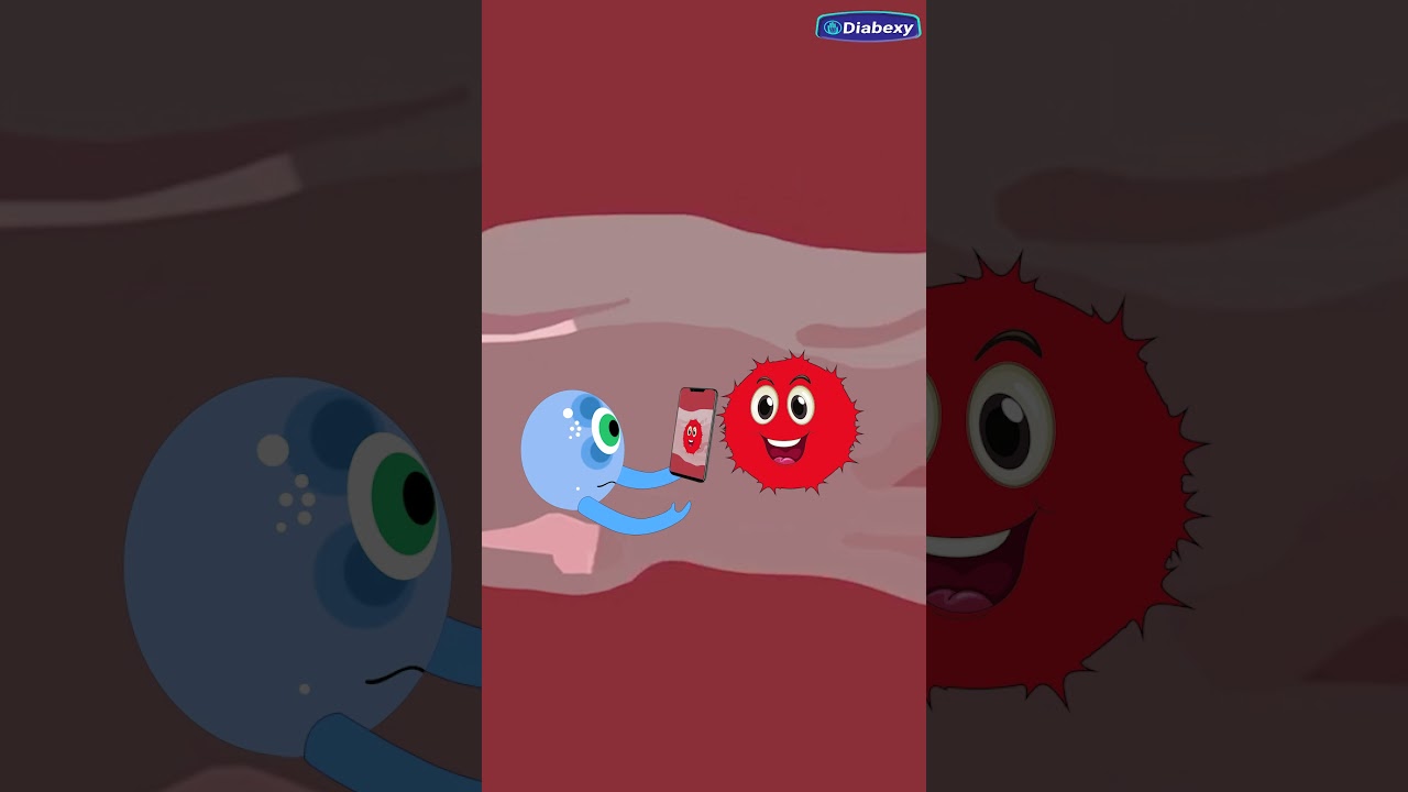 How does Our Immune System&nbsp;Works | Diabexy