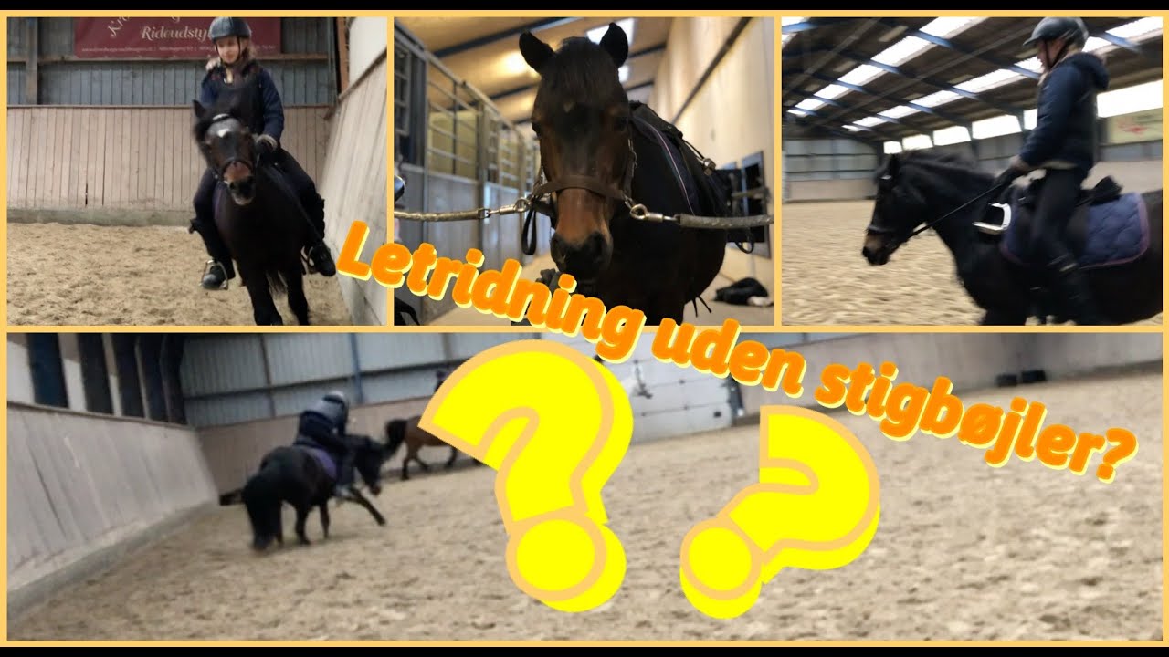 Rider på NY hest!