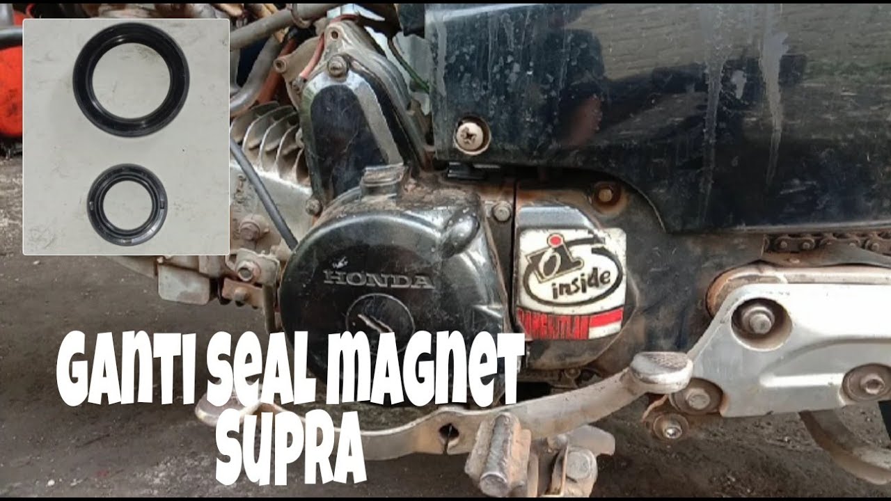 Supra fit Ganti Seal Magnet 