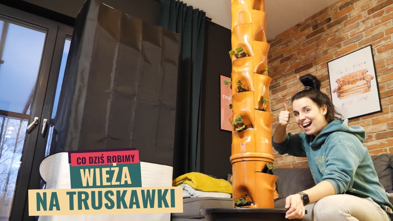Budujemy wieżę na truskawki. Sposób na hodowanie truskawek na małej powierzchni