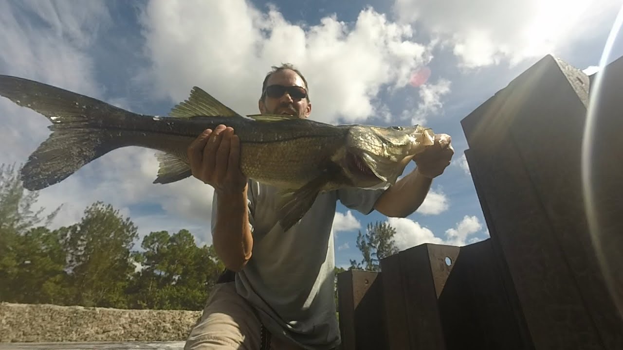 The Best Worst Fishing Day Ever! Monster Snook, Tarpon and Bass!!