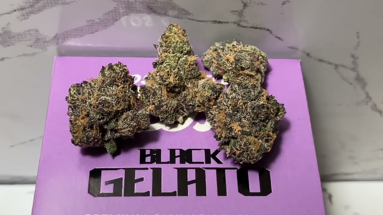 Los Angeles Kush - Black Gelato
