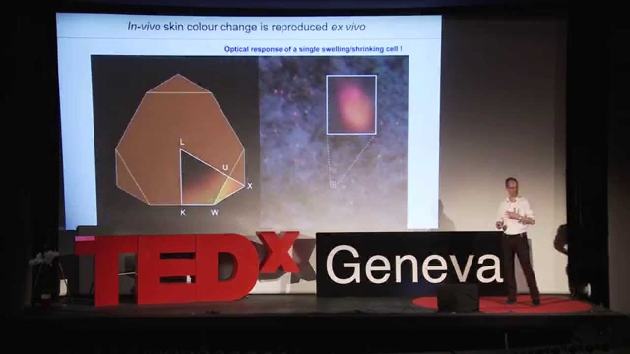 Crossing scientific disciplines | Michel Milinkovitch | TEDxGeneva