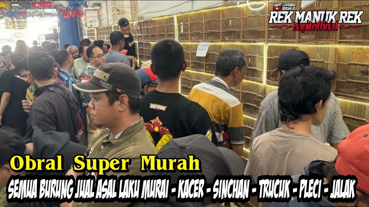 OBRAL MURAH !!! SEMUA BURUNG JUAL ASAL LAKU MURAI - KACER - SINCHAN - TRUCUK - PLECI - JALAK DLL