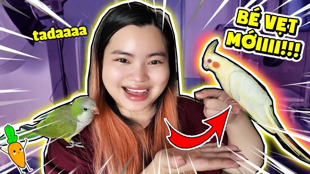 KAMUI NHẬN NUÔI THÚ CƯNG MỚI | BÉ VẸT MÁ HỒNG SIÊU ĐÁNG YÊU
