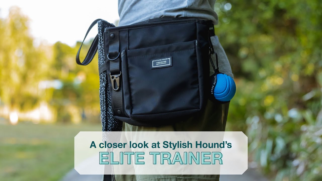 A closer look the Elite Trainer