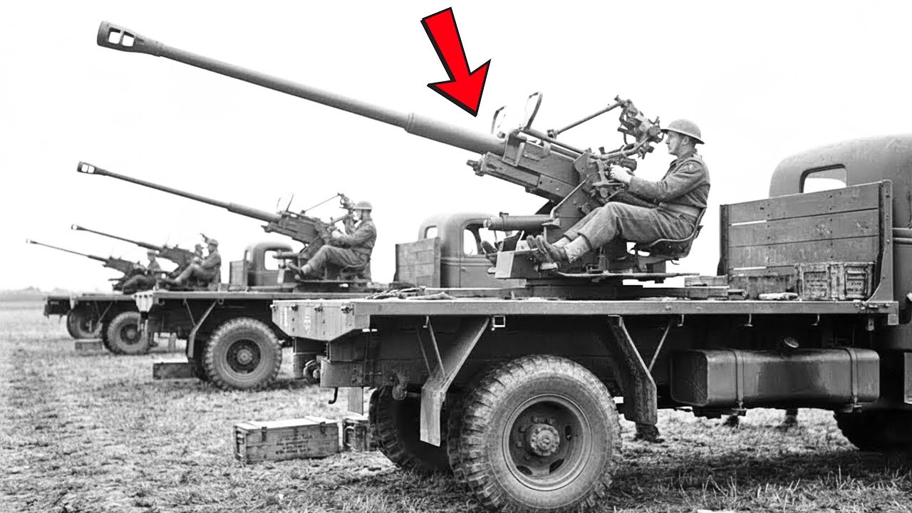 Why Canada Used the Bofors 40mm in a Way No One Expected in WWII