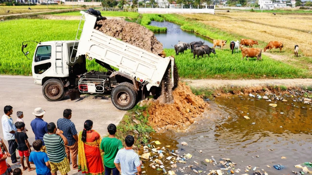First New Complete In Rice Fields Project! 5 T Dump Truck Unloading Soil & Bulldozer Pushing After