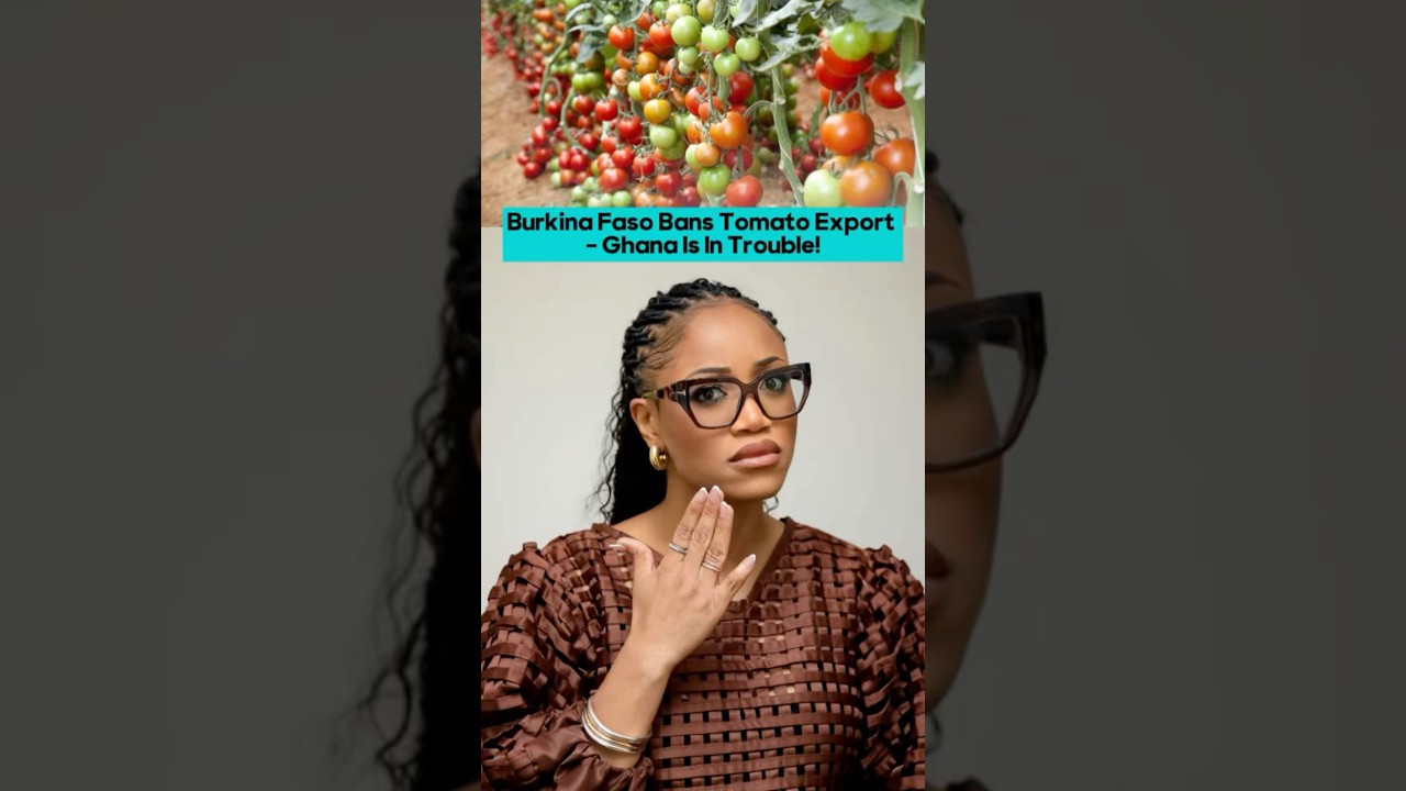 Буркина-Фасо только что запретила экспорт томатов... Но почему-то именно Гана может оказаться в б...