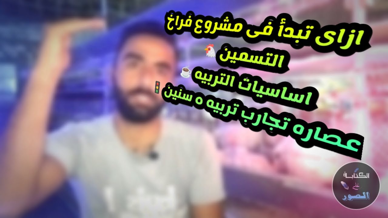 الفيديو المطلوب .. ازاى تبدأ فى مشروع فراخ التسمين 🐔 اساسيات البدايه وعصاره سنين 🚦 تربيه 🤍