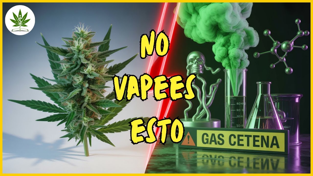 “NO VAPEES THC-O sin ver esto: El Peligro Oculto del Gas Cetena”