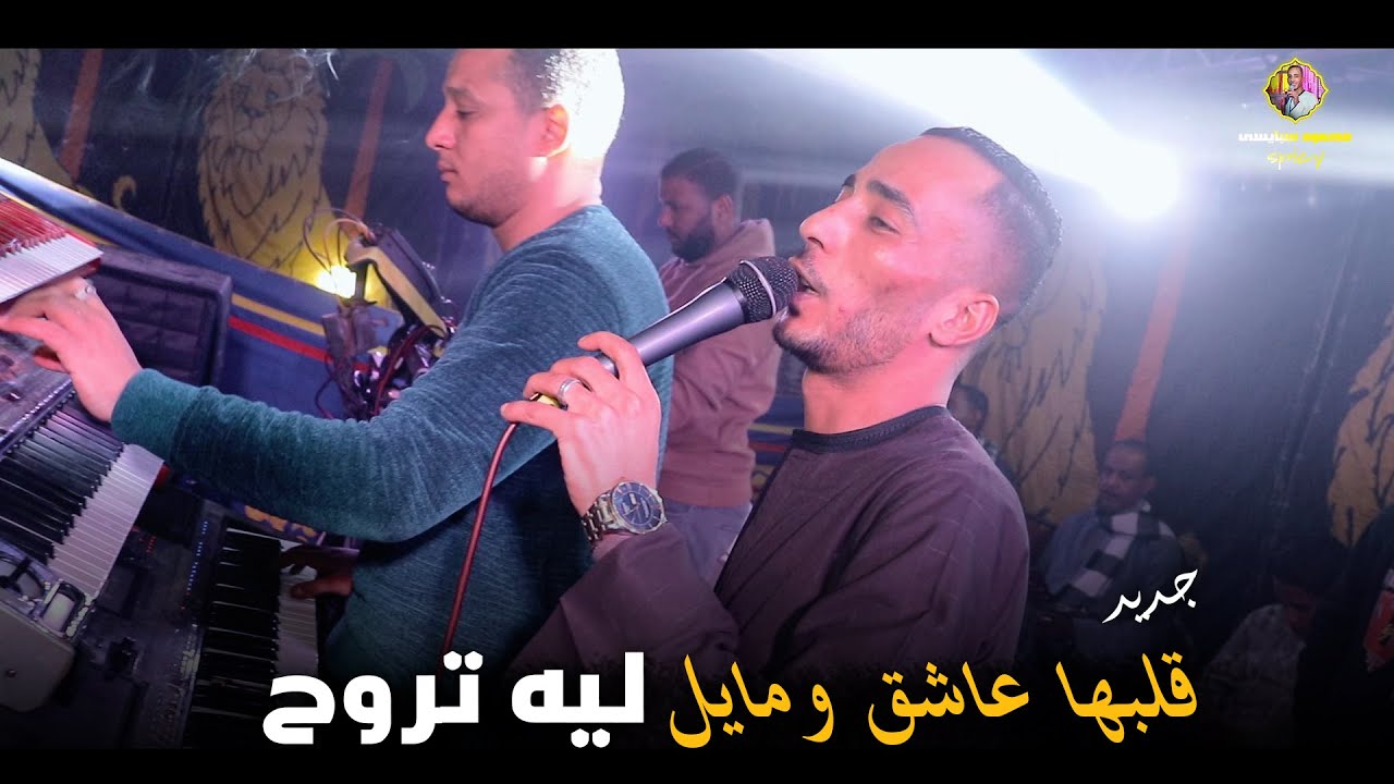 قلبها عاشق ومايل ليه تروح _محمود سبايسى 2026 الجديد 
