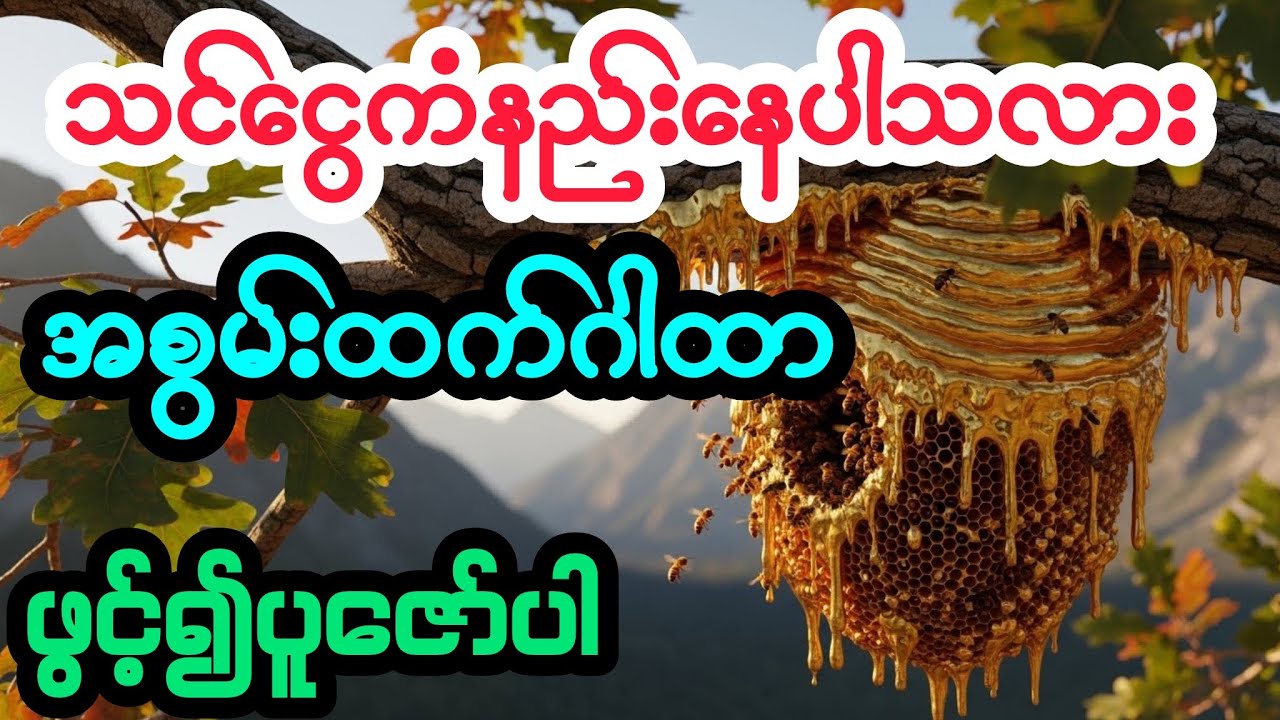 ☸️#ရှင်သီဝလိဂါထာ #ကံပွင့်လာက်ပွင့် #တရားတော်များ 