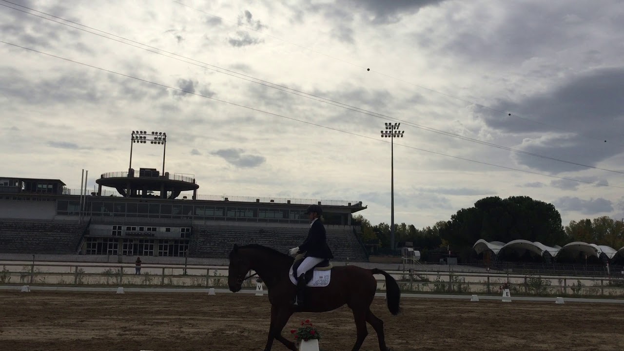 Ripresa Dressage E 300