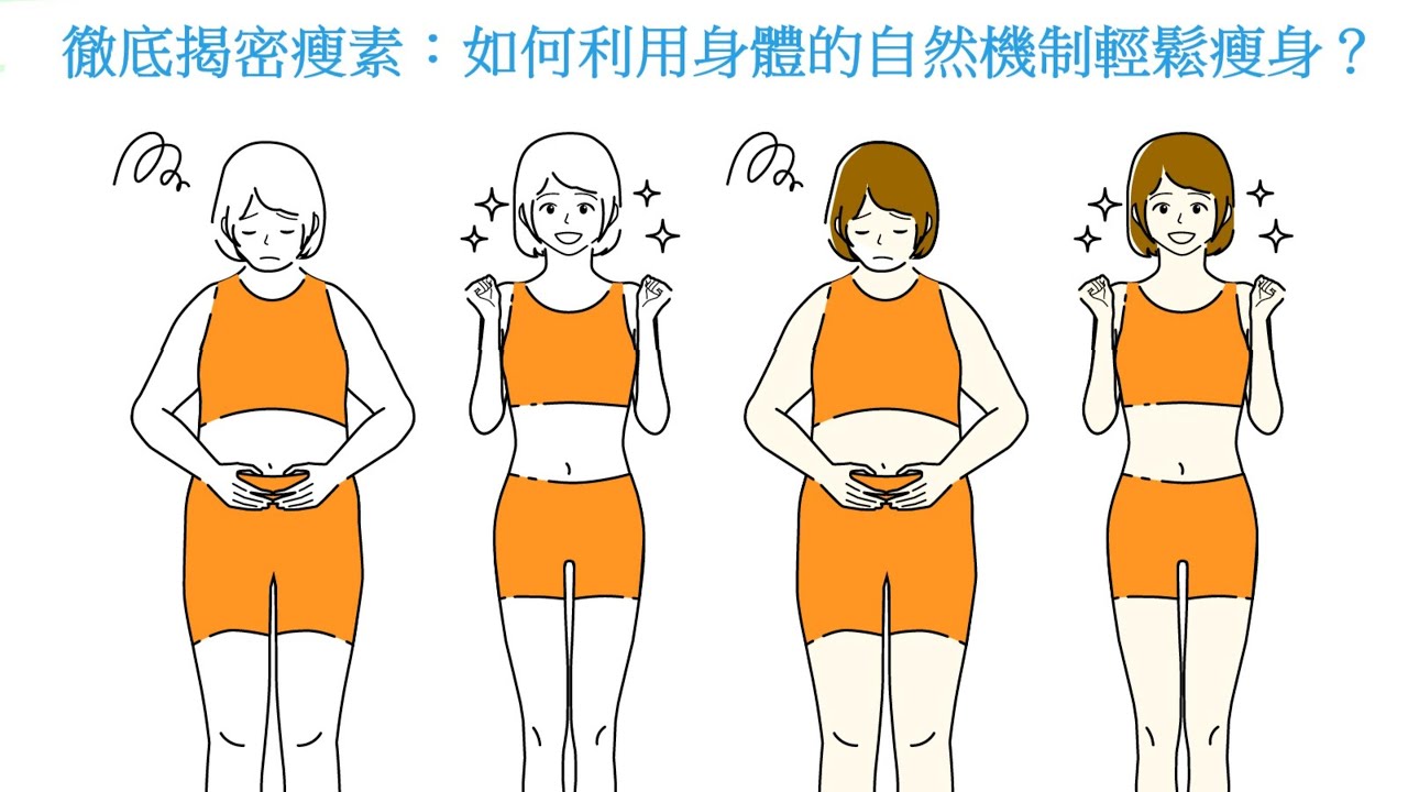 徹底揭密瘦素：如何利用身體的自然機制輕鬆瘦身？