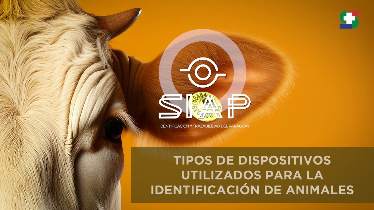 SIAP | TIPOS DE DIPOSITIVOS DE IDENTIFICACIÓN ANIMAL