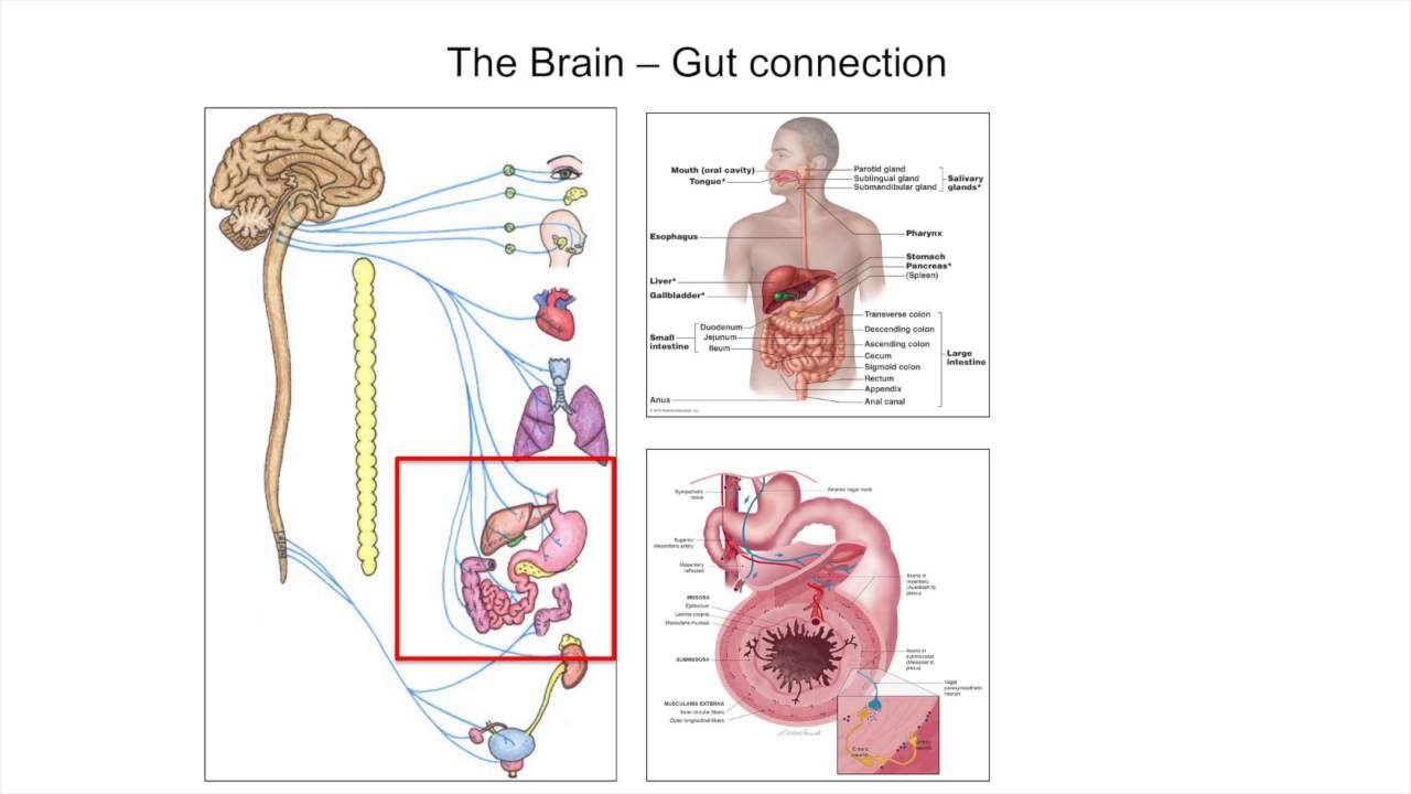 Alpha-Synuclein - What's it all about?