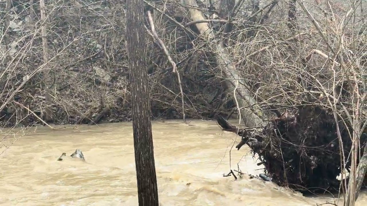 Update on the river
