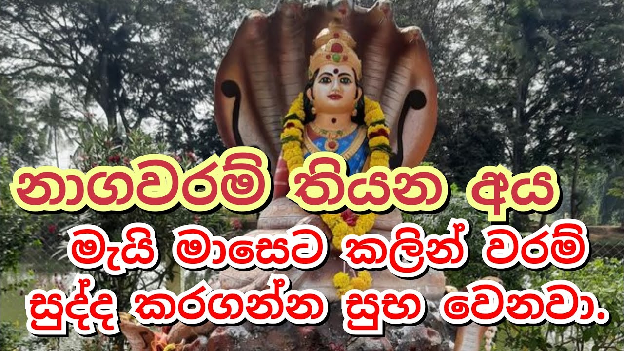 🟡🔱නාගවරම් තියන අය මැයි මාසෙට කලින් වරම් සුද්ද කරගන්න සුභ වෙනවා.