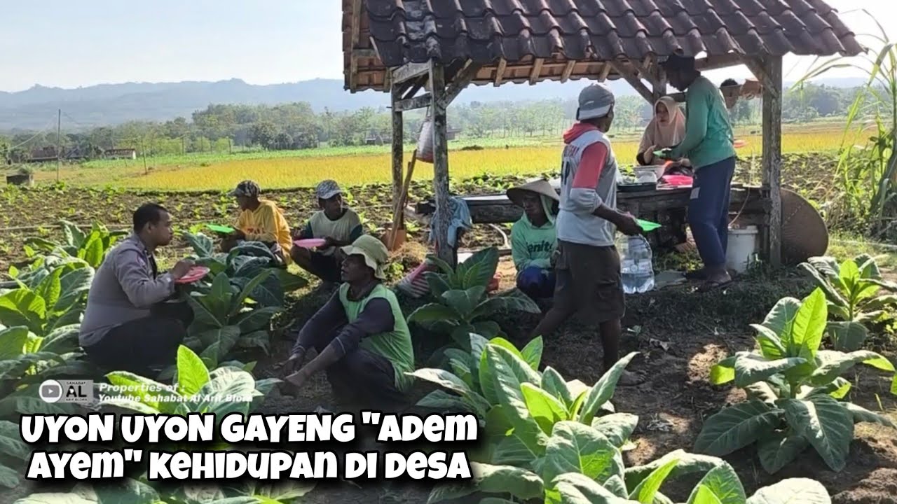 Uyon Uyon Gayeng Jampi Sayah Kehidupan Warga Di Pedesaan Blora Yang Kaya Tradisi & Budaya
