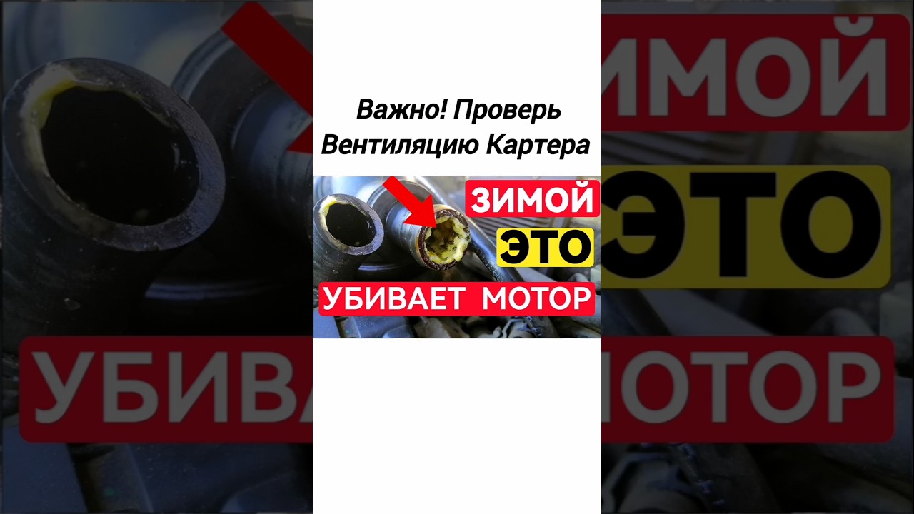 Зимняя Проблема с Вентиляцией Картера. Клапан PCV (ВКГ)