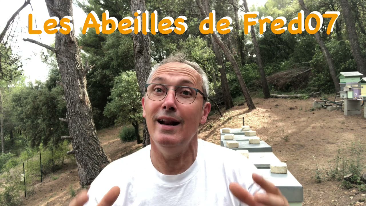 Renforcer une ruche pour l'hiver  : #Apiculture #Apiculteur #Buckfast #Abeilles #Reine #Essaim