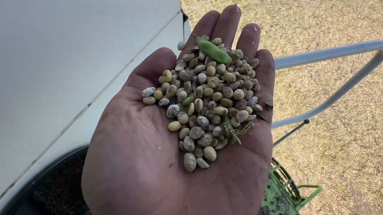 Empezamos con soja