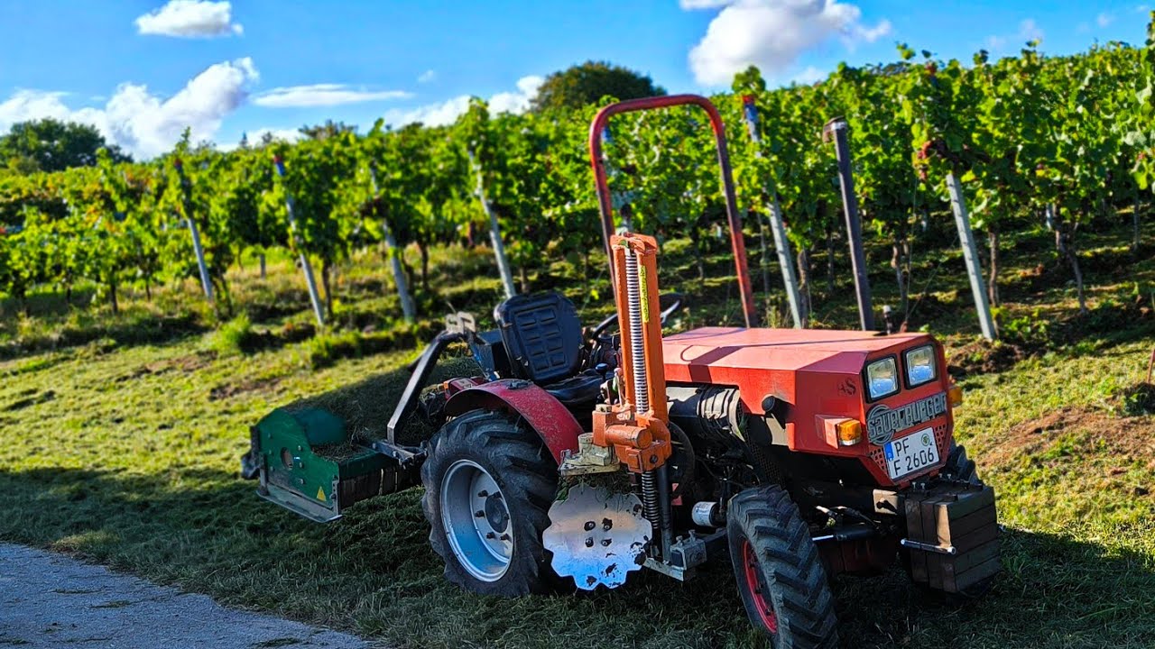 Pflegearbeiten im Weinberg, Mulchen und Unterstockbearbeitung 