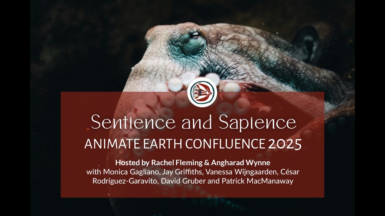 Animate Earth 2025 Confluence: Sentience and Sapience