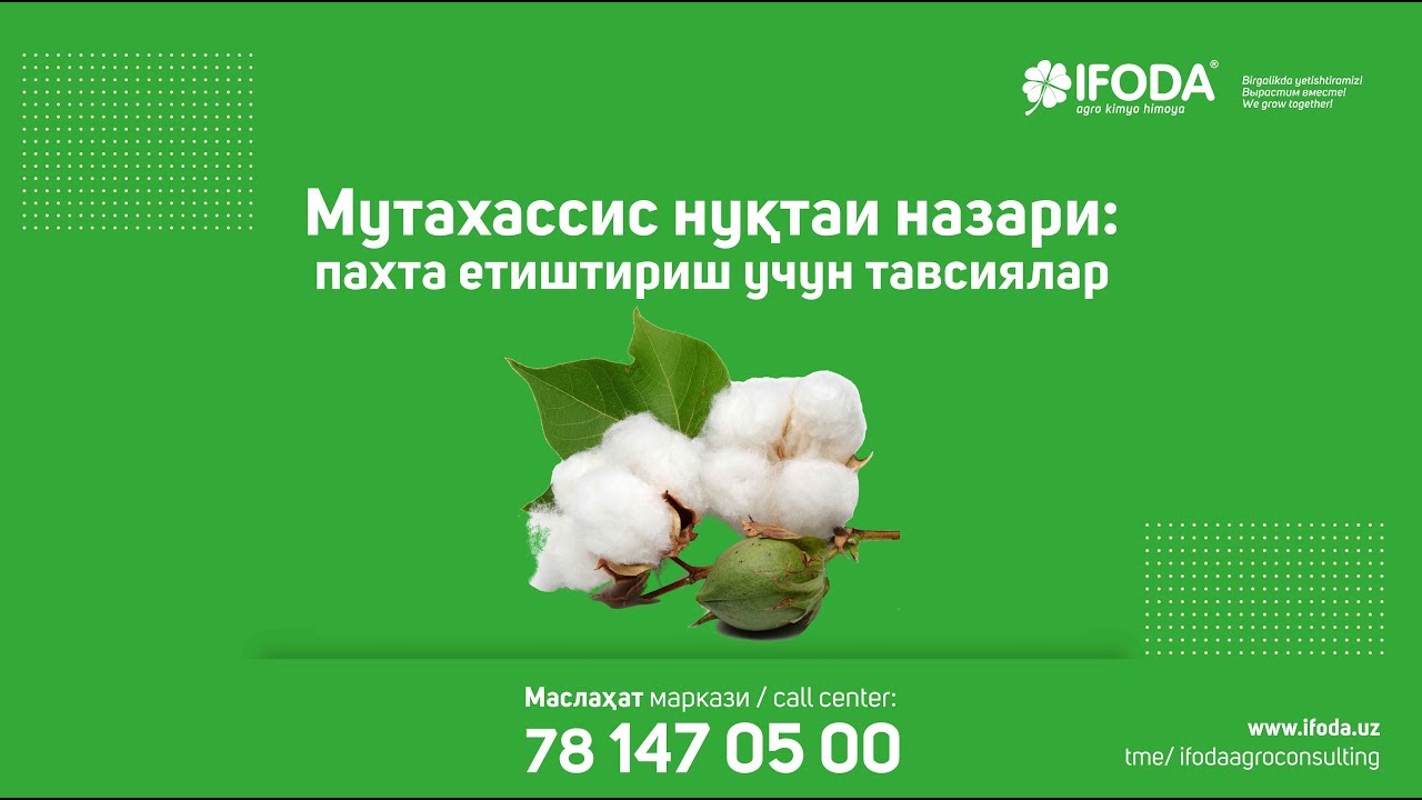 Мутахассис нуқтаи назари пахта етиштириш учун тавсиялар