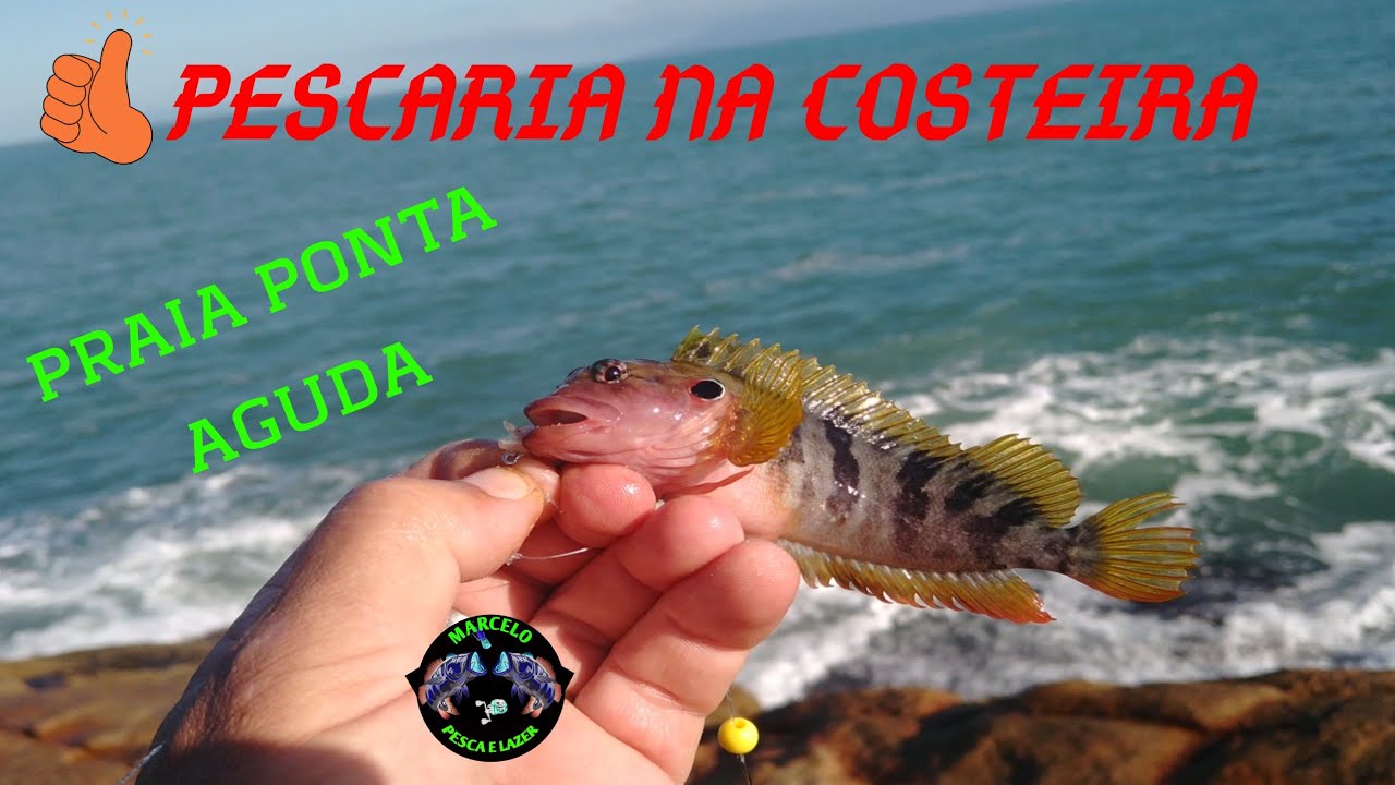 PESCARIA NA PRAIA E NAS PEDRAS