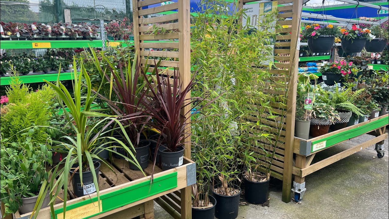 B&M Bargains Garden Centre Tour