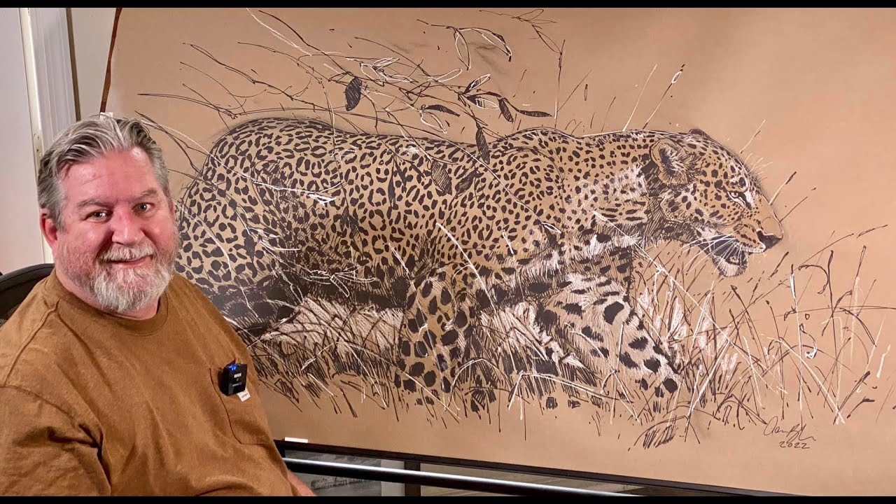 Live Stream - BIG Cat Drawing Day!