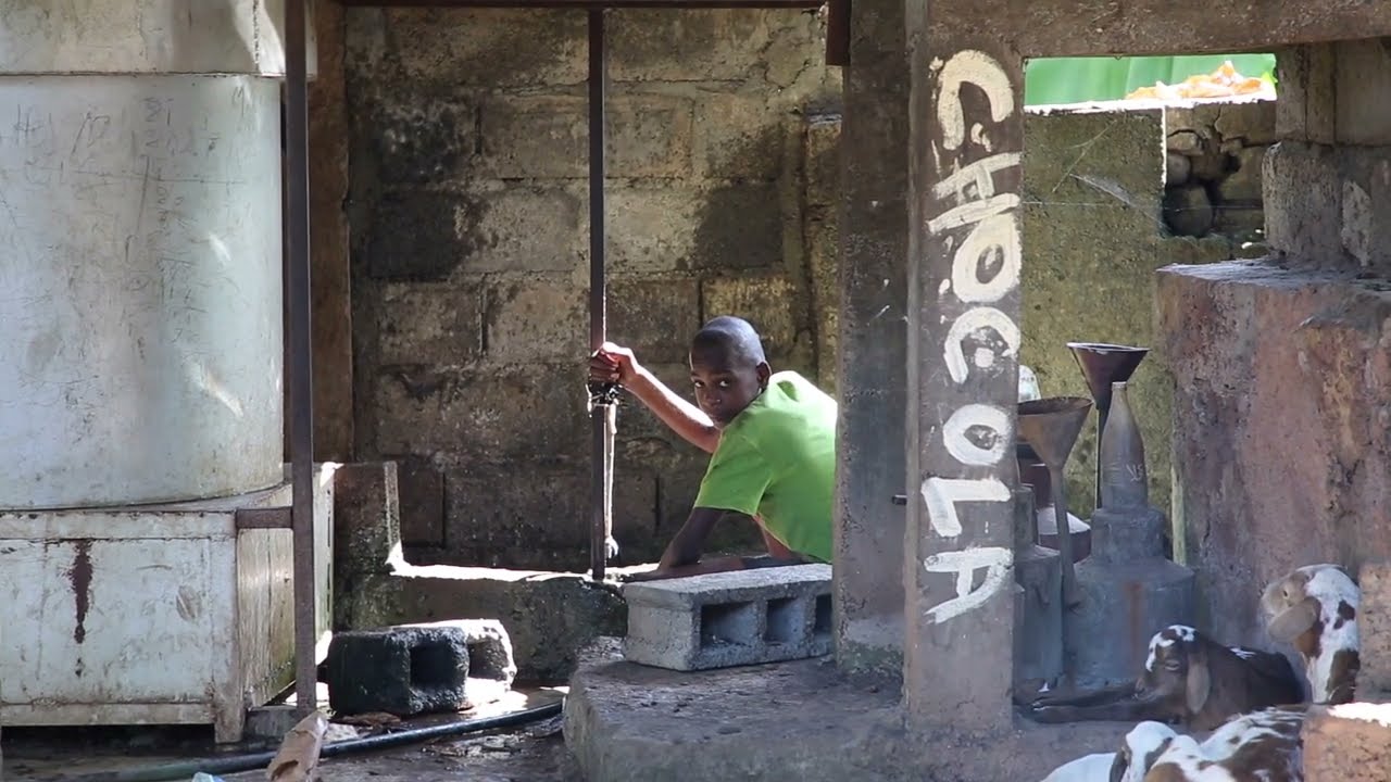 Comores Anjouan Distillerie d'Ylang Ylang / The Comoros Ndzuwani Ylang Ylang Distillery