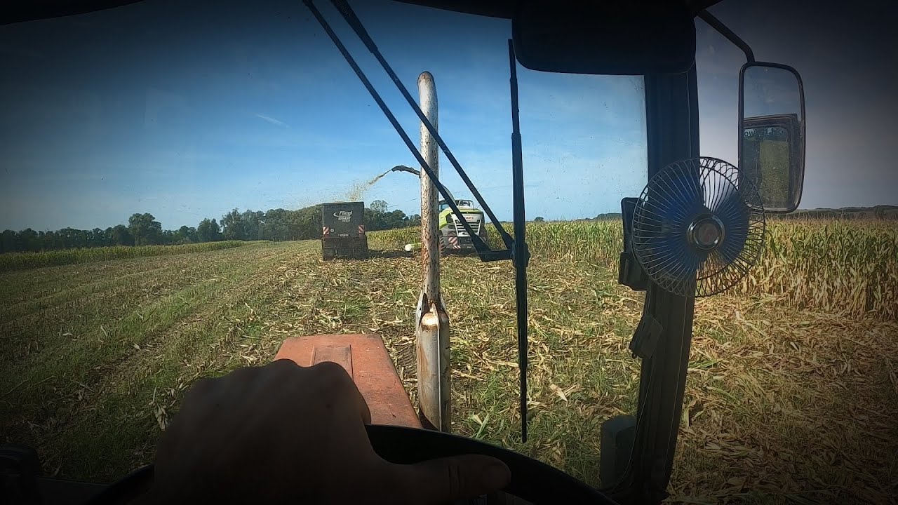 kukorica silózás&corn silage 2023 