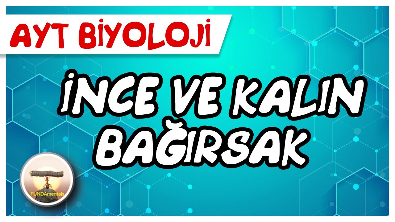 AYT Biyoloji | İnce ve Kalın Bağırsak #sayfa66