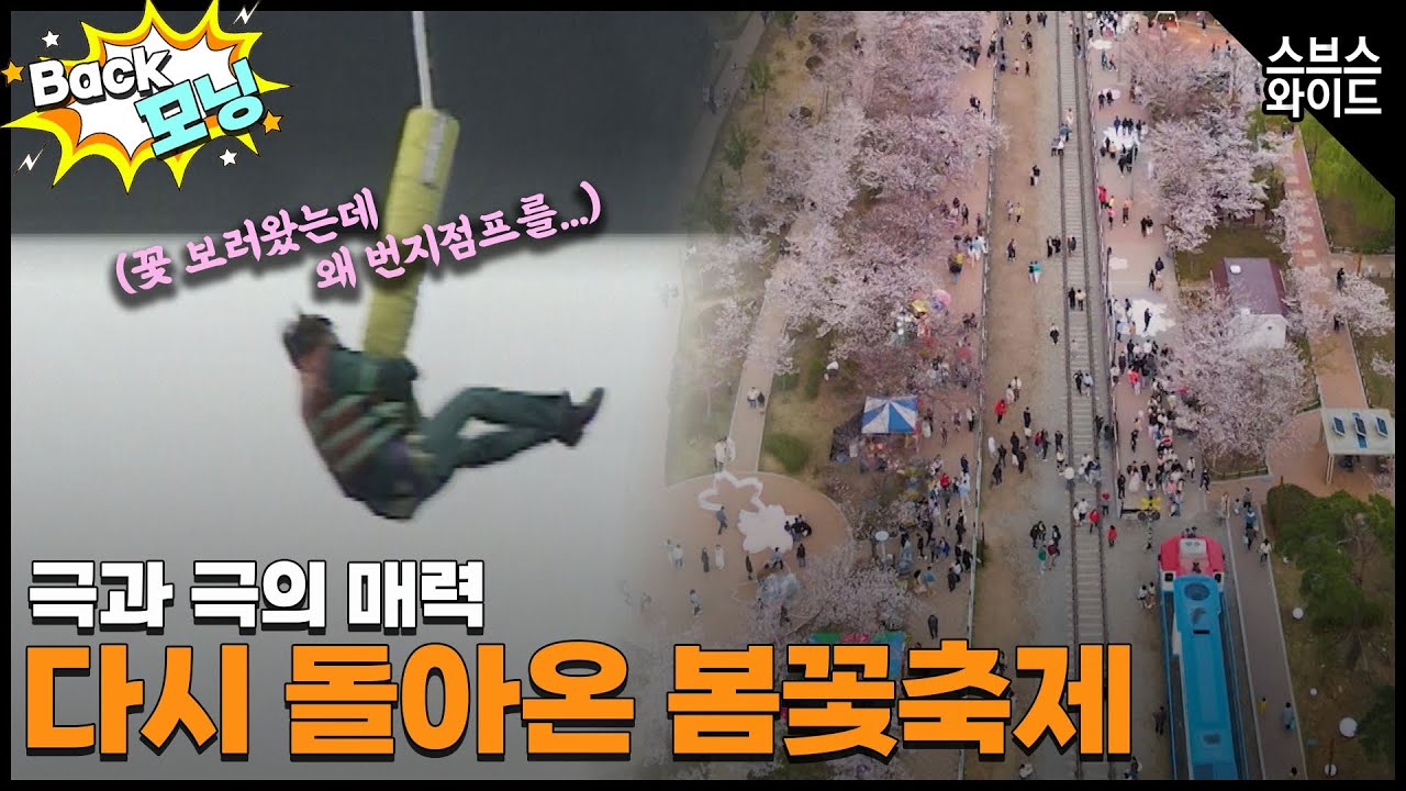 [Back모닝] 봄봄봄봄 봄이 왔어요