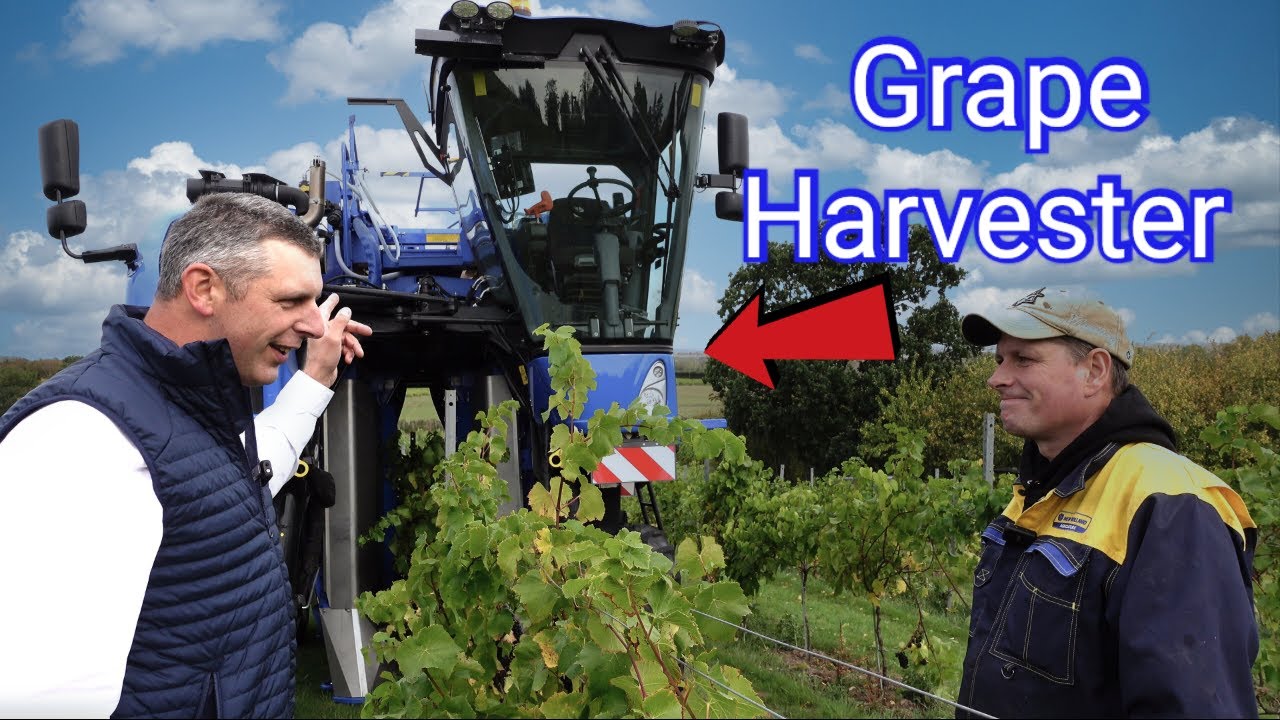 HI-TECH GRAPE HARVESTER MAKES WINE